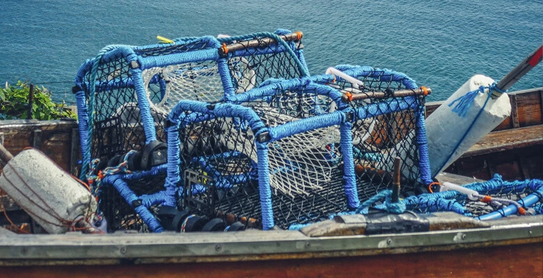Cage net on boat