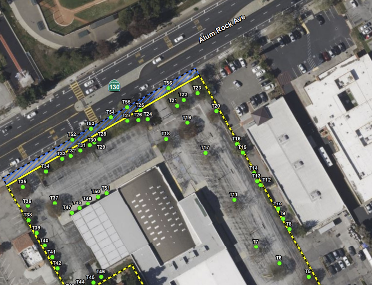 Tree Inventory Report for 2940 Alum Rock Avenue Project, City of San José image