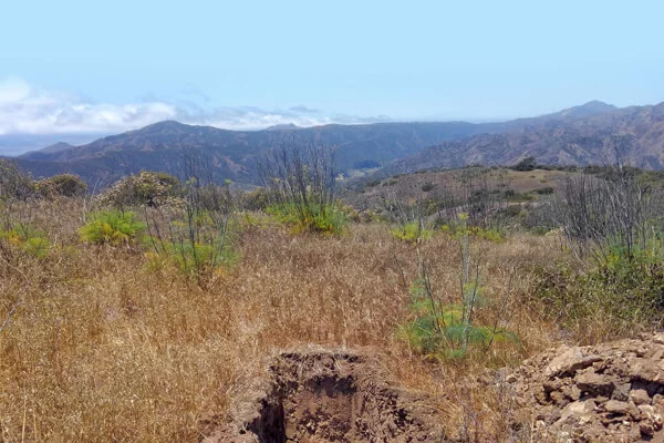 Valley Peak Telecommunications Facility Limited Archaeological Study image