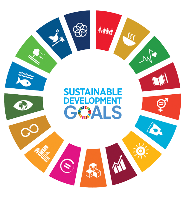 SDG Circle image